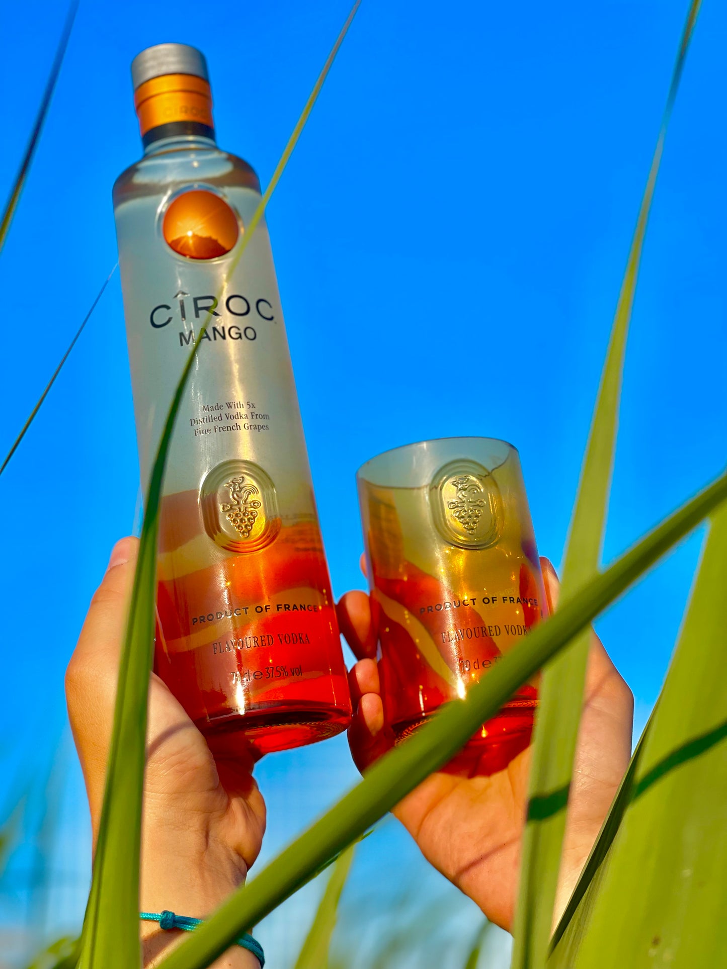 Ciroc Vodka Mango pohár 🥭🟠 (1 db)