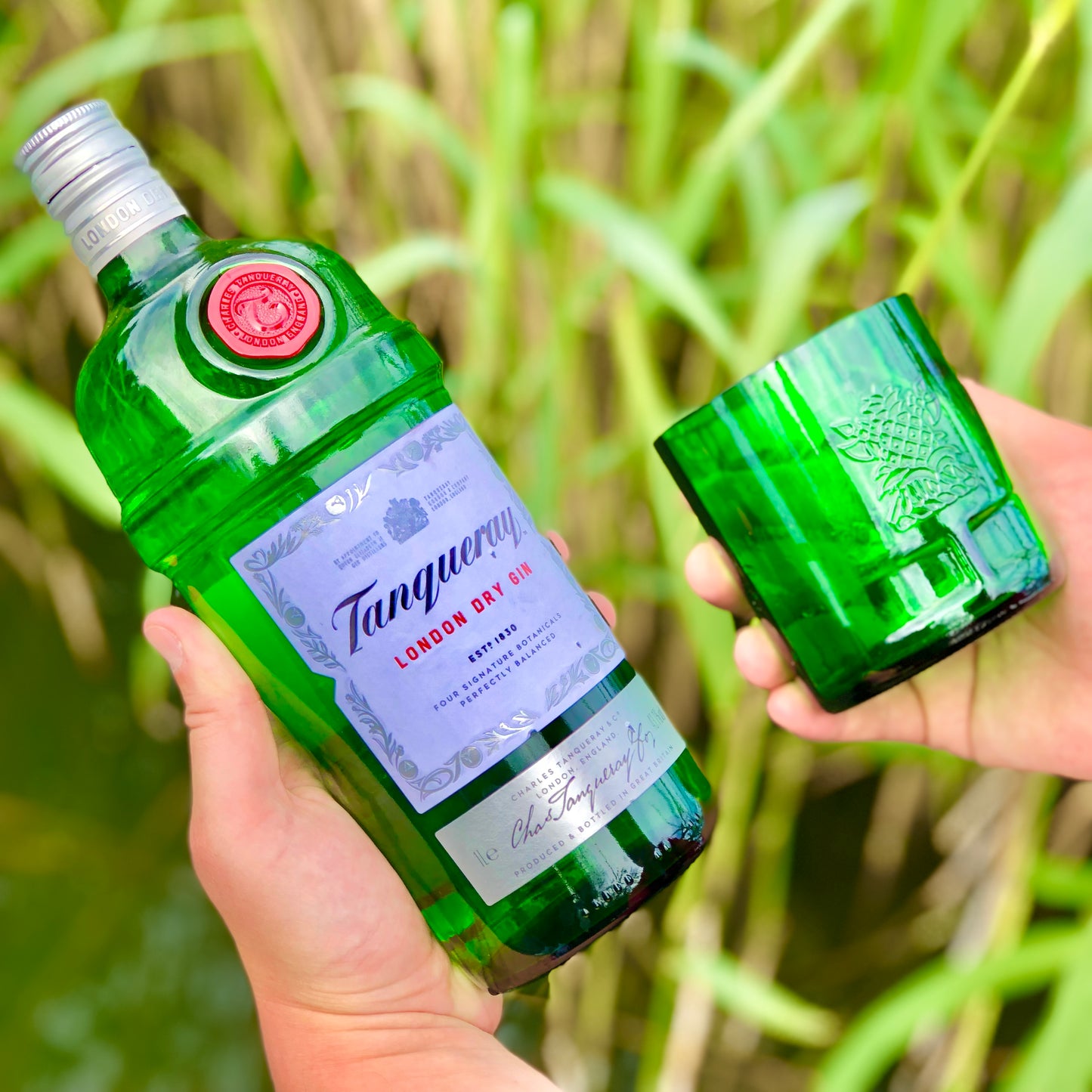 Tanqueray Gin pohár kollekció 🌿 (4 db)