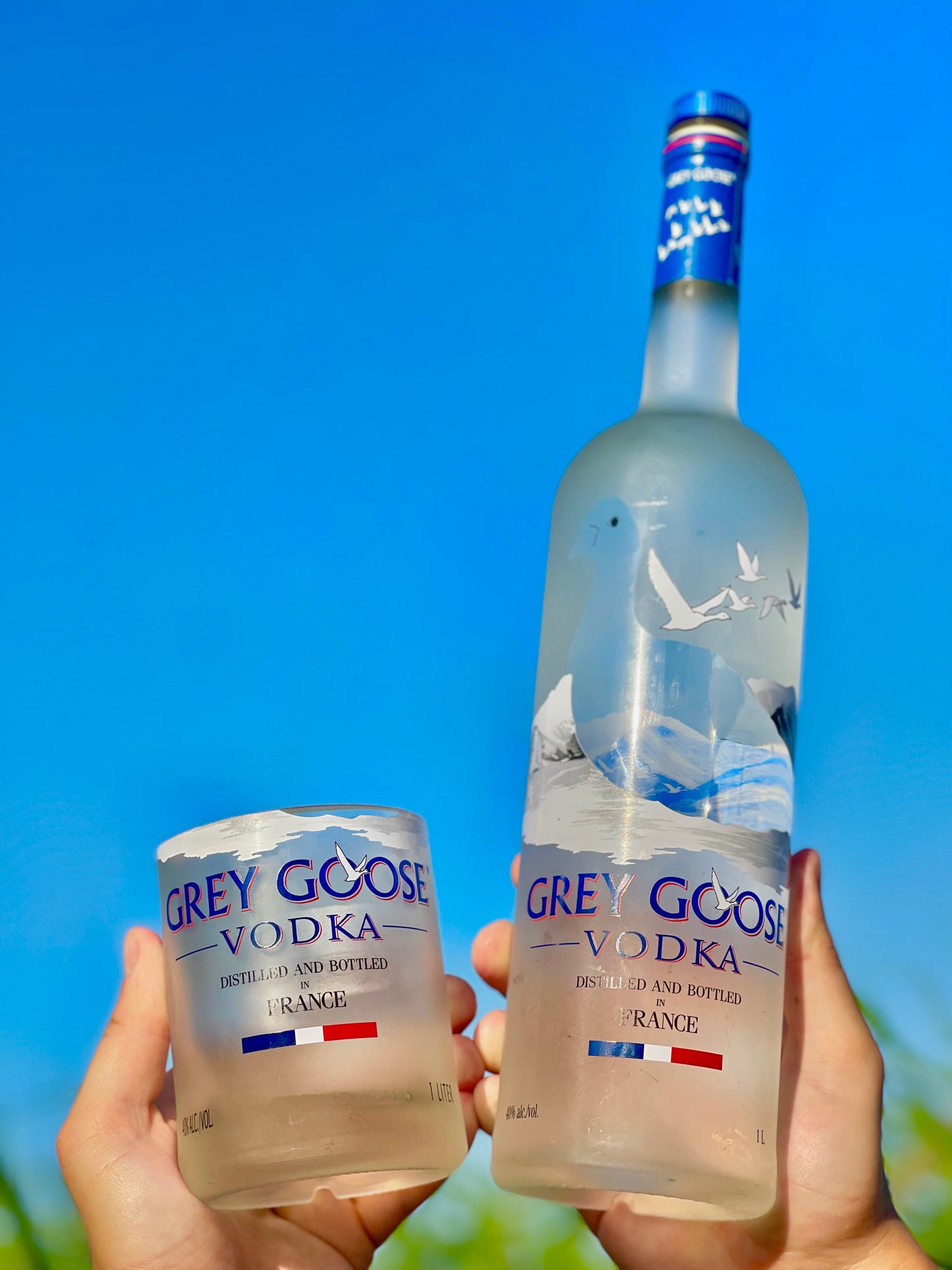 Grey Goose Vodka short pohár 🦢